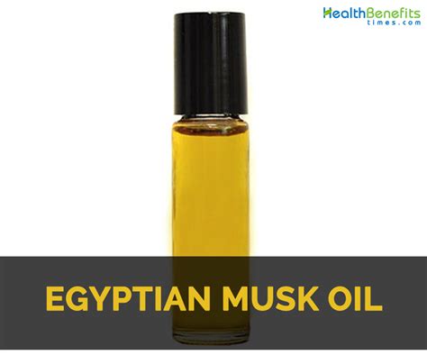 egyptian musk oil benefits.